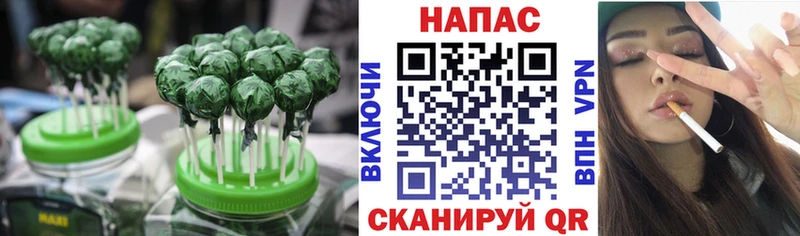 Canna-Cookies конопля  купить наркоту  Благодарный 