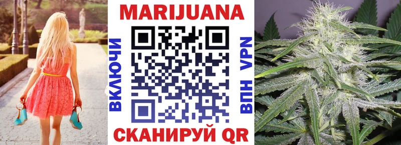 Канабис планчик  Благодарный 
